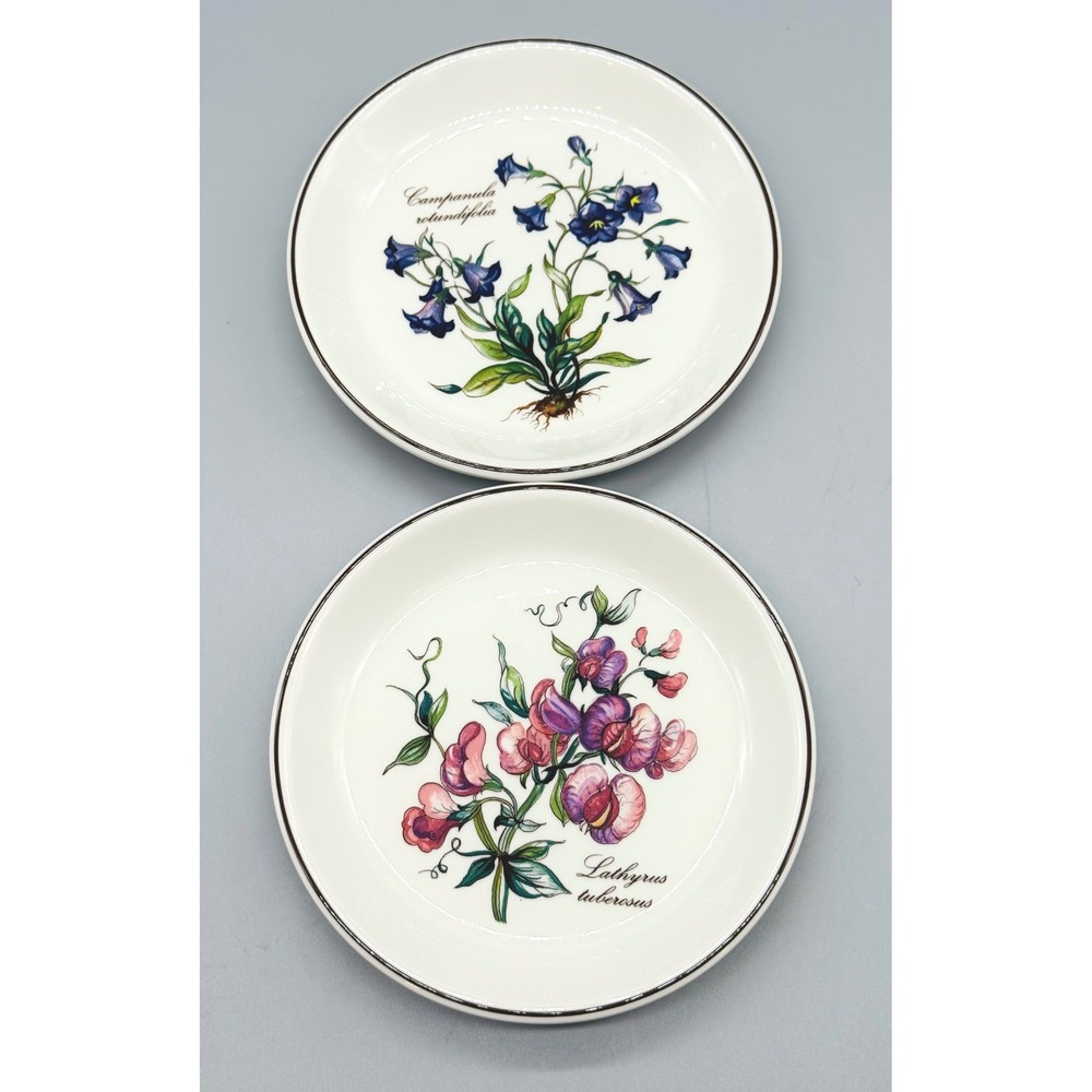 Villeroy Boch Botanica Wine Coaster Campanula Rotundifolia Lathyrus Tuberosus